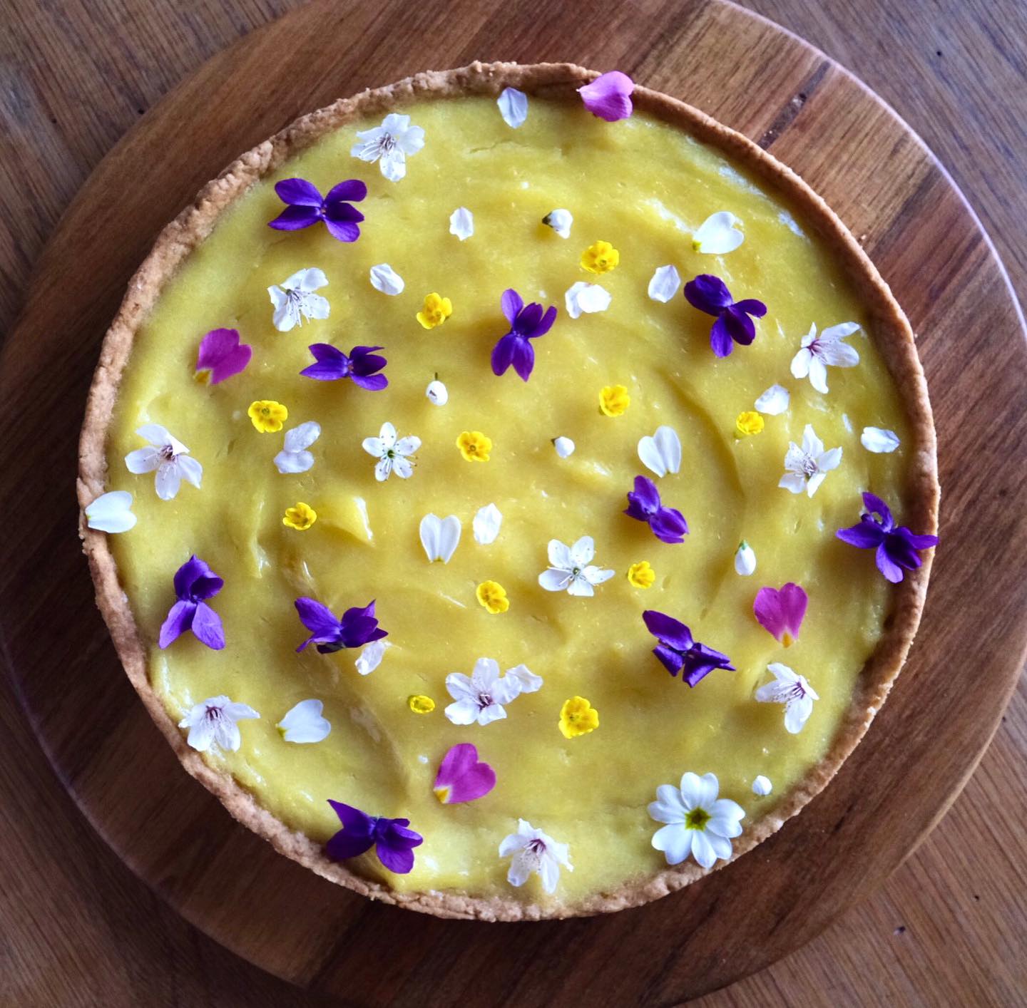 Réjouissances du jour du printemps : balade-cueillette et une tarte au citron. 

C’est une merveille d’observer les premières fleurs, d’écouter les oiseaux chantés à tue-tête et de cueillir quelques plantes sauvages.
Le parfum de mon butin enfermé dans une boite était délicieux lorsque je l’ai ouverte !